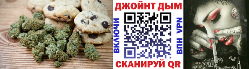 купить наркотики сайты  Жиздра  Canna-Cookies марихуана 