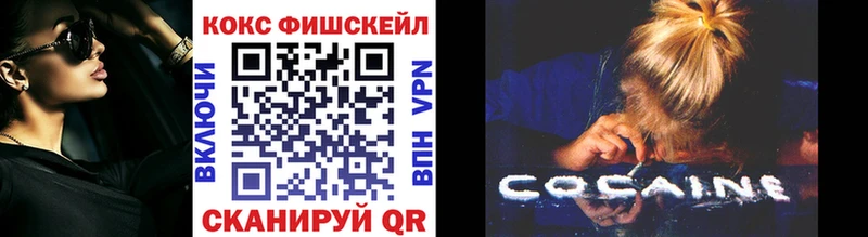 мега как зайти  Жиздра  КОКАИН FishScale 