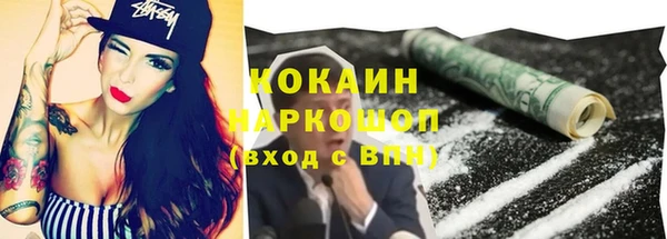 СК Волоколамск