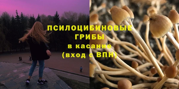 Альфа ПВП Вяземский