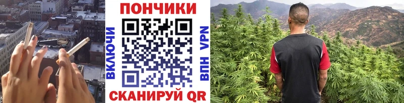 Шишки марихуана SATIVA & INDICA  Жиздра 